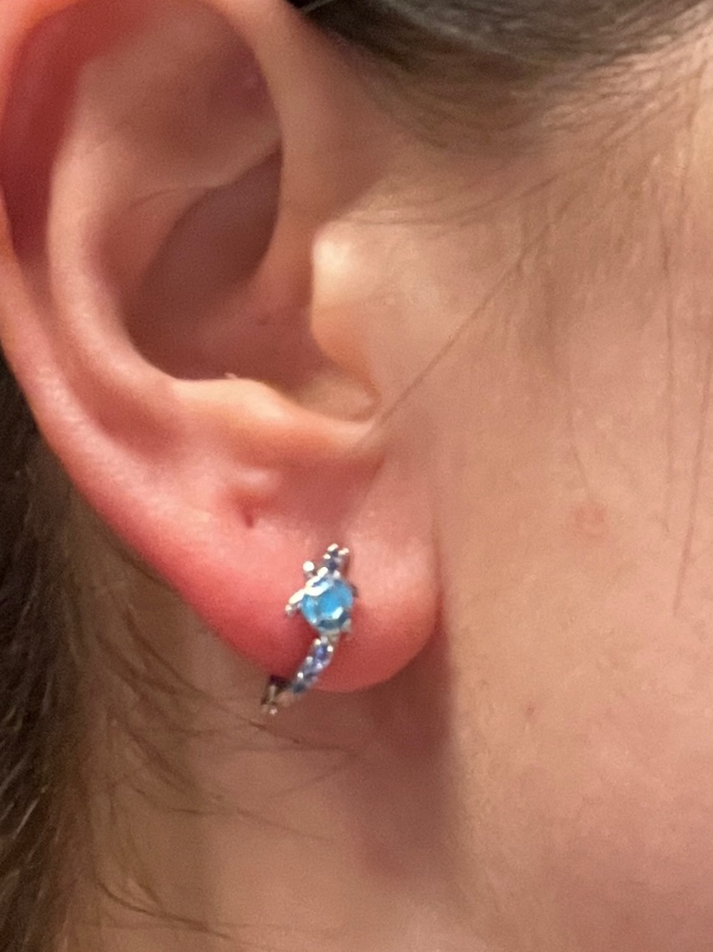 Sea Blue Turtle Hoop Earrings